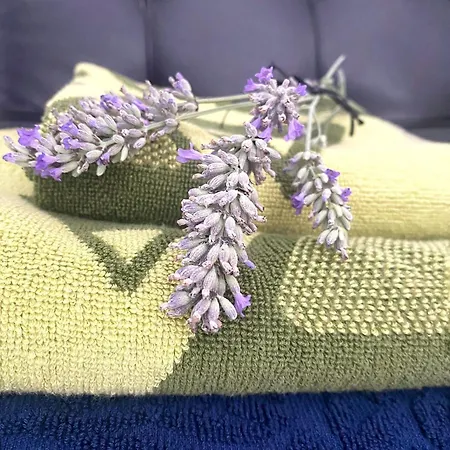 Διαμέρισμα Studio_suite05 *